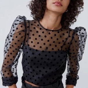 ✨24HR SALE✨LIKE 4 DISCOUNT! ZARA | SHEER POLKA DOT ORGANZA CROPPED BLOUSE ✨💛✨